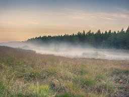 IMGP8299_HDR_Morgenstemning